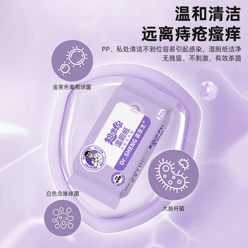 Mini Moist Toilet Paper