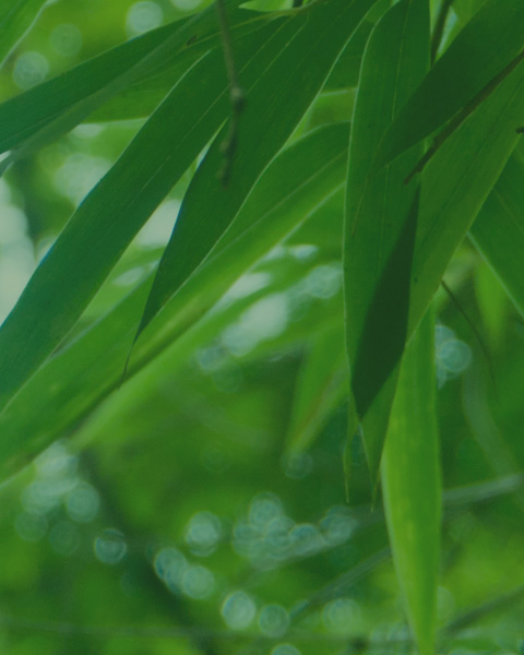 Premium raw materials