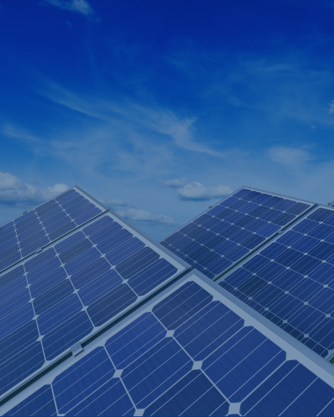 Environmental Protection&Sustainable Development Solutions